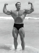 arnold30.png