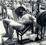 arnold33.png