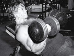 arnold34.png