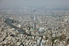 20100501_6.jpg