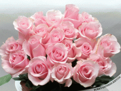 1255771494_13_flowers_03.gif