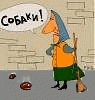 02_20cool_20story_20bro.gif