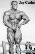 cutler049.jpg