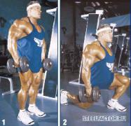 cutler236.jpg