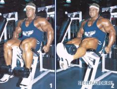 cutler238.jpg