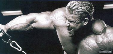 cutler431.jpg
