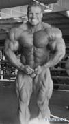JayCutler83.jpg