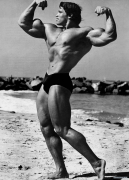 arnold_schwarzenegger_bodybuilding_photos_on4.png