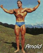 Arnold_Schwarzenegger_1425.jpg