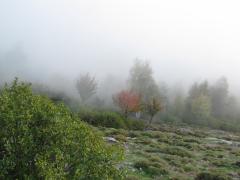 IMG_2342.JPG