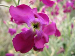 IMG_0099.JPG