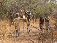 Tchad__128_.jpg