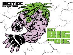 scitec07.jpg