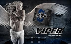 VIPER2.jpg