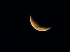 IMG_1201___Copie.JPG