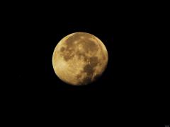 IMG_1713___Copie.JPG