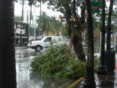 DSC07128.JPG