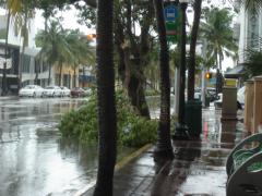DSC07127.JPG