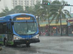 DSC07118.JPG
