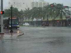 DSC07115.JPG