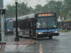 DSC07117.JPG
