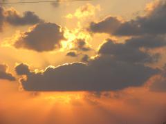IMG_8544.JPG