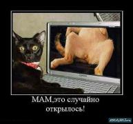 ррр.jpg