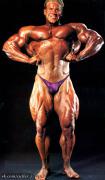 0078-cutler402.jpg