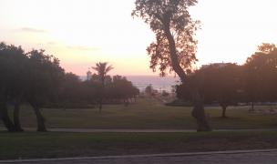 IMAG0740.jpg