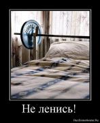 1279879581_15808_ne-lenis.jpg