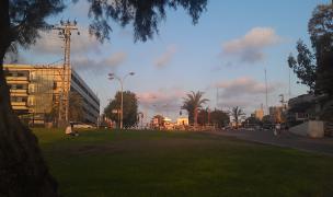 IMAG0737.jpg