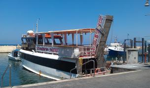 IMAG0807.jpg