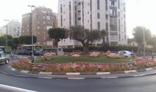 IMAG0727.jpg