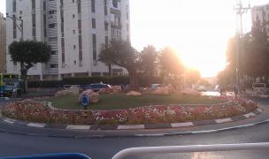 IMAG0726.jpg