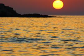 IMG_6309.JPG