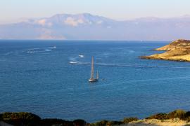 IMG_5963.JPG