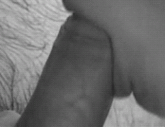 Blowjob-Closeup.gif