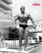 arnold22.png