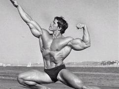 arnold-schwarzenegger-protein-vitamin-hu.jpg