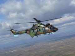 Bulgarian_cougar.jpg