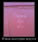 2682007_i-ved-nekotoryie-vedutsya.jpg