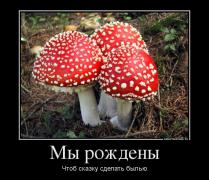 5743517_myi-rozhdenyi.jpg