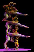 reuters_india_china_acrobatics_20Sep11-878x1359.jpg