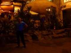 P1040795_изменить размер.JPG