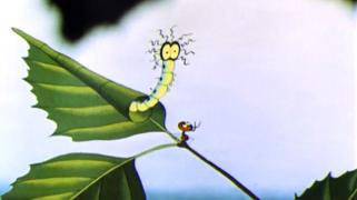 video_686731_0.jpg
