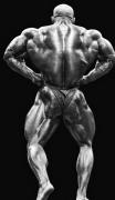 MamdouhElssbiay-MD-Sep13-PerBernal-048.jpg
