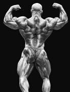 MamdouhElssbiay-MD-Sep13-PerBernal-049.jpg