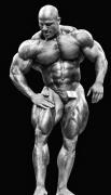 MamdouhElssbiay-MD-Sep13-PerBernal-050.jpg