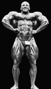 MamdouhElssbiay-MD-Sep13-PerBernal-021.jpg