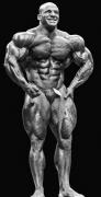 MamdouhElssbiay-MD-Sep13-PerBernal-052.jpg